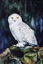 White snowy owl in the forest watercolor