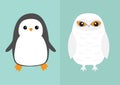 White Snowy owl Penguin bird icon set. Sitting bird with wings. Snow barn. Yellow eyes. Arctic Polar animal collection. Baby educa