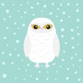 White Snowy owl. Sitting bird with wings. Snow barn. Yellow eyes. Arctic Polar animal collection. Baby education. Flat design. Iso Royalty Free Stock Photo