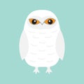 White Snowy owl. Sitting bird with wings. Snow barn. Yellow eyes. Arctic Polar animal collection. Baby education. Flat design. Iso Royalty Free Stock Photo