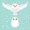 White Snowy owl. Sitting flying bird with wings. Snow barn. Yellow eyes. Arctic Polar animal collection. Baby education. Flat desi