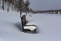 White snowy street, pathway along the park trees surrounded with a beautiful black cast iron fence, elegant wrought iron Royalty Free Stock Photo