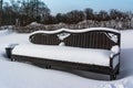 White snowy street, pathway along the park trees surrounded with a beautiful black cast iron fence, elegant wrought iron