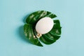 White soap bar on green palm leaf with white flowers. Royalty Free Stock Photo