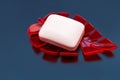 White soap in soap dish Royalty Free Stock Photo