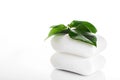 White soap with green leaf Royalty Free Stock Photo