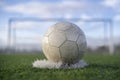 White soccer ball on the grass Royalty Free Stock Photo