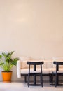 White sofa and black chairs with Philodendron Xanadu plant near roughness concrete wall inside of modern beige coffee shop Royalty Free Stock Photo