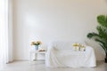 white sofa with gift and green plant coffee table with flowers in bright interior room Royalty Free Stock Photo