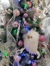 White soft owl on a delicate Christmas tree of pink and blue shades