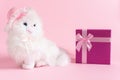 White soft toy cat in a pink cap on a pink background Royalty Free Stock Photo