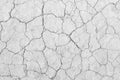 White soil drought cracked texture