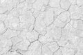 White soil drought cracked texture Royalty Free Stock Photo