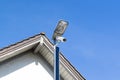 White solar powered surveillance camera in front of a house facade, constant surveillance is a growing issue in our society, by