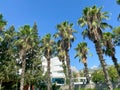 White South Beach condo with palm trees Royalty Free Stock Photo