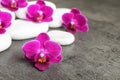 White spa stones and orchid flowers on background Royalty Free Stock Photo
