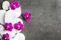 White spa stones and orchid flowers on grey background. Space for text Royalty Free Stock Photo