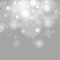 White sparks glitter special light effect. Vector sparkles on transparent background.