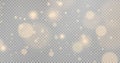 White sparks and golden stars shine with special light. Vector sparkles on a transparent background. Royalty Free Stock Photo