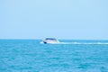 The white speed boat in the sea