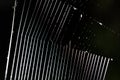 White spider`s net isolated on a black background. Royalty Free Stock Photo