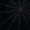 White spider web Royalty Free Stock Photo