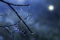 White spider web on a background of a dark night sky with a mont Royalty Free Stock Photo