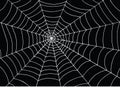 White spider web on black background, Doodle sketch vector art. Royalty Free Stock Photo