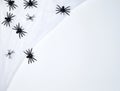 white spider web with black spiders, black background Royalty Free Stock Photo