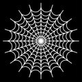 white spider web - Cobweb vector on black background - illustration