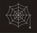White spider web  icon isolated on black background Royalty Free Stock Photo