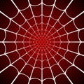 White spider web on red background Royalty Free Stock Photo