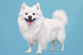 White spitz watercolor portrait painting. Illustrated dog puppy, isolated on blue background. AI Generated Royalty Free Stock Photo