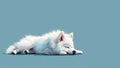 White spitz watercolor portrait painting. Illustrated dog puppy, isolated on blue background Royalty Free Stock Photo