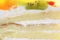 White Sponge Cream Cake With Gelatin Fruit Topping
