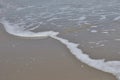 White sponges on the beach