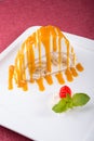 White spoonge peice of cake with orange syrup Royalty Free Stock Photo