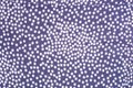 White spotted textile Royalty Free Stock Photo