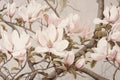 White spring flowers magnolia tree floral garden blossom plant background botany flora nature pink Royalty Free Stock Photo