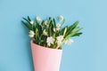 White spring flowers in pink cone on blue background flat lay. Hello spring. Stylish greeting card. Happy womens day concept. Royalty Free Stock Photo