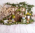 White spring sett up with colourful flowers yellow and light wood Royalty Free Stock Photo