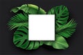 White square blank card with green exotic jungle leaves on black background. Monstera, philodendron, fan palm, banana