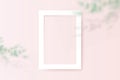 White square empty picture frame with Tree branch on Peach pastel color wall. 3d Vector illustration Royalty Free Stock Photo