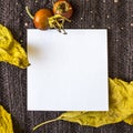 White square leaf on the background of a knitted brown textile background, dry yellow leaves, red wild rose berries. Place for tex Royalty Free Stock Photo