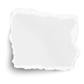 White square paper tear isolated on white background with soft shadow Royalty Free Stock Photo