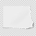 White square paper tear isolated on white background with soft shadow. Vector illustration