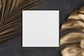 White square poster or card mockup with golden palm and monstera leaves on dark grey background Royalty Free Stock Photo