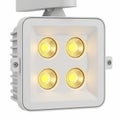 White Square LED Track Light Fixture with Four Illuminated Bulbs on White Background Royalty Free Stock Photo