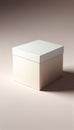 Perspective View of Empty White Product Box with Lid Royalty Free Stock Photo