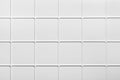 White square tiled texture background. Extruded plastic panel